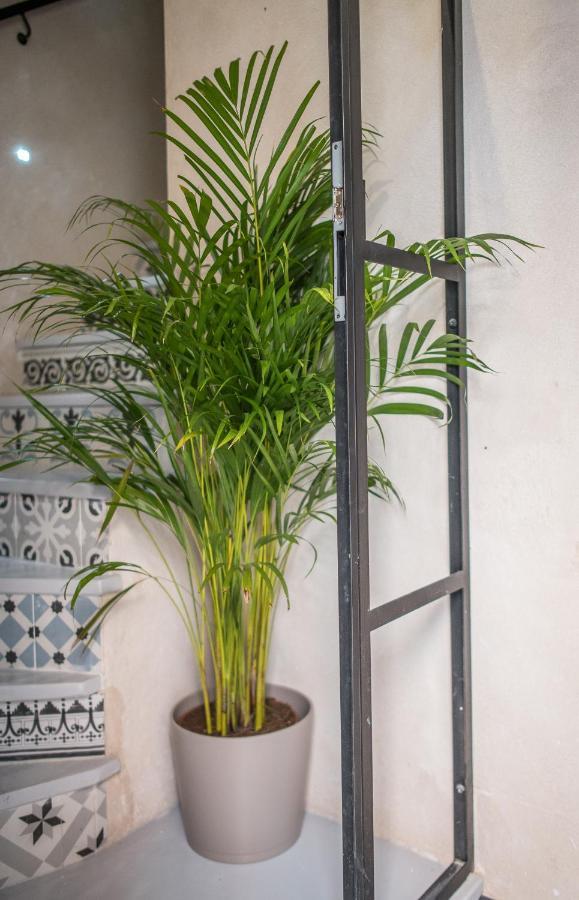 Rey De Sevilla Flats - Duplex Museo 外观 照片